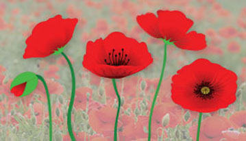 Veterans Affairs Canada website
